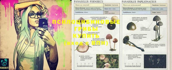 ECSTASY Волоколамск