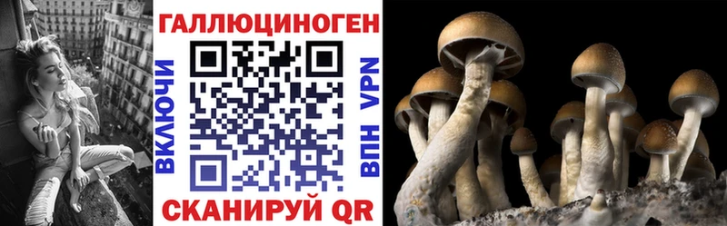 Псилоцибиновые грибы ЛСД  дарнет шоп  Чкаловск 