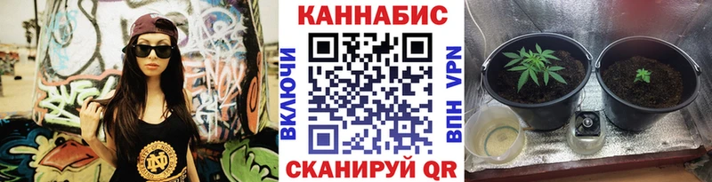 закладки  Чкаловск  Каннабис AK-47 